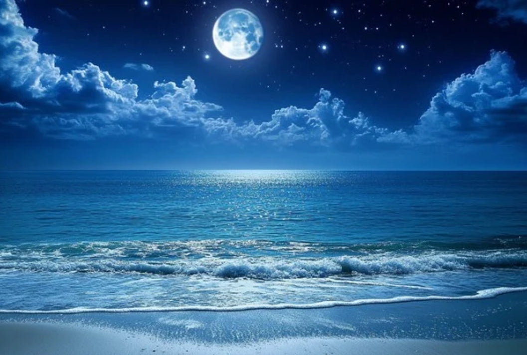 Bleu Luna contact us